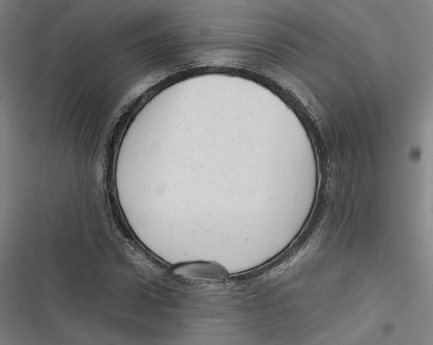 X0000116640922201001111205