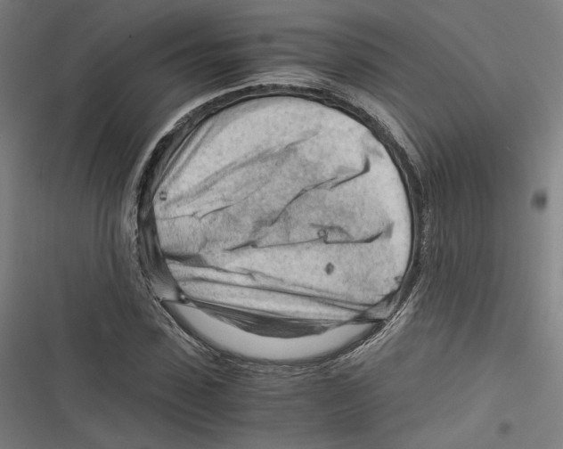 X0000116640923201001111205