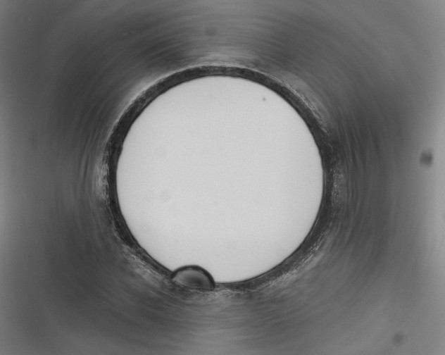 X0000116640926201001111205