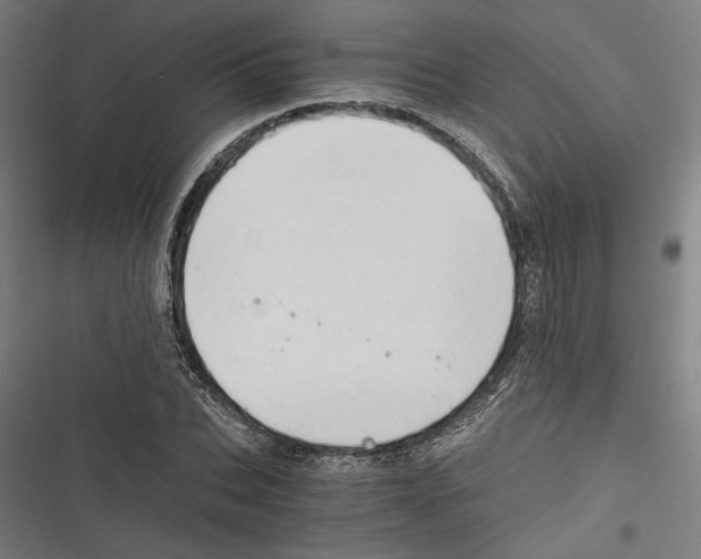 X0000116640927201001111205