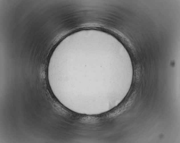 X0000116640929201001111205