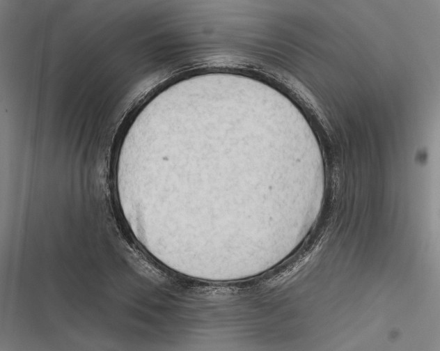 X0000116640930201001111205