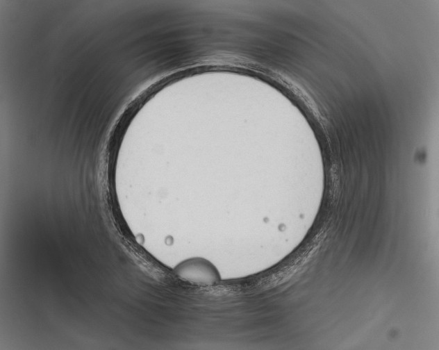 X0000116640931201001111205