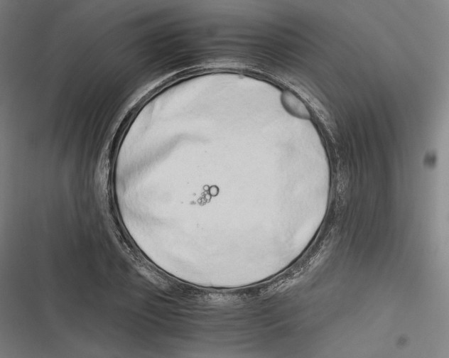 X0000116640933201001111205