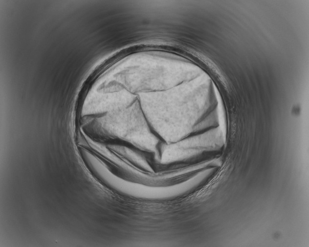 X0000116640935201001111205