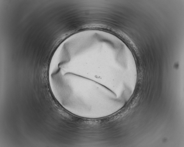 X0000116640937201001111205