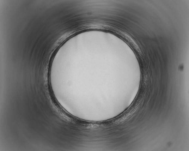 X0000116640938201001111205