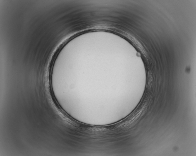 X0000116640939201001111205