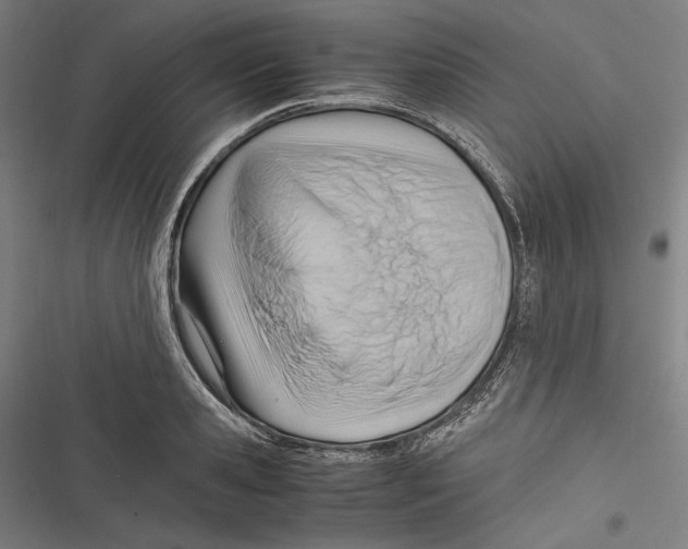 X0000116640941201001111205