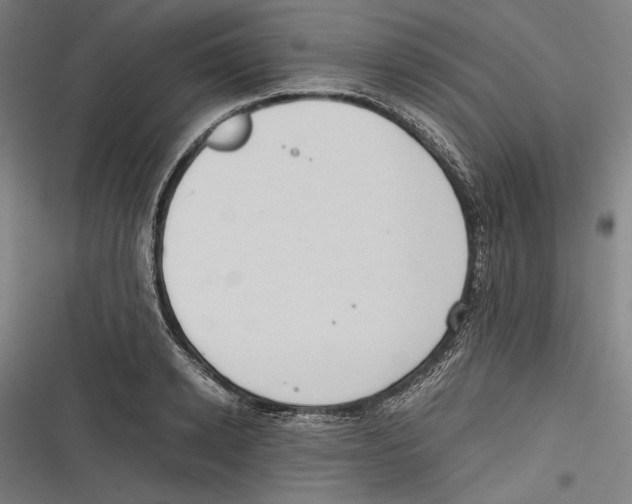 X0000116640942201001111205