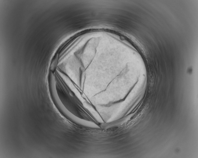 X0000116640943201001111205