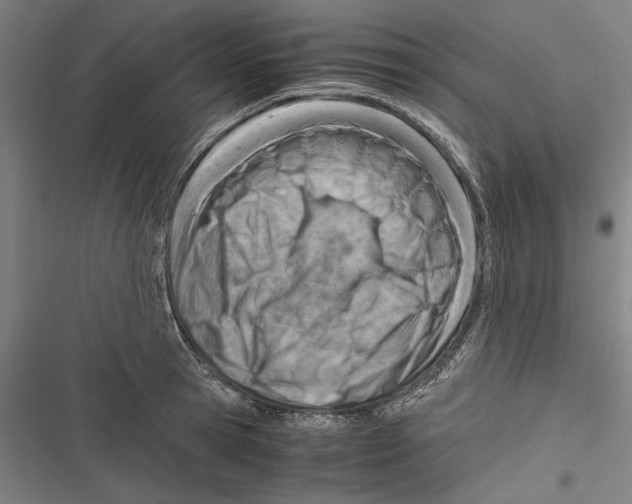 X0000116640945201001111205