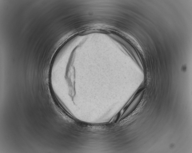 X0000116640946201001111205