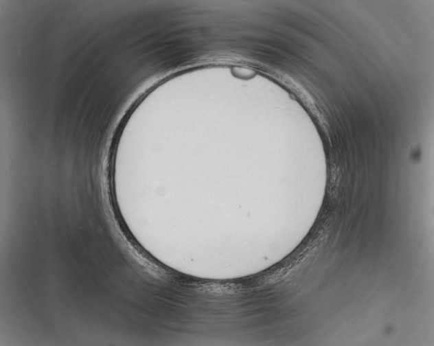 X0000116640947201001111205