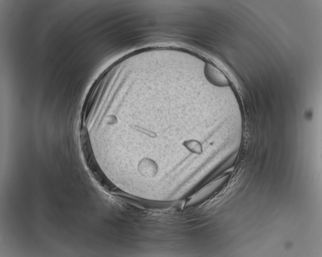 X0000116640951201001111205