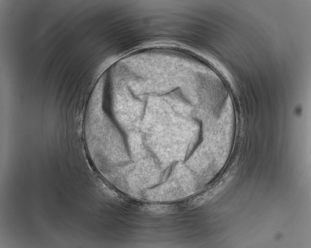 X0000116640953201001111205