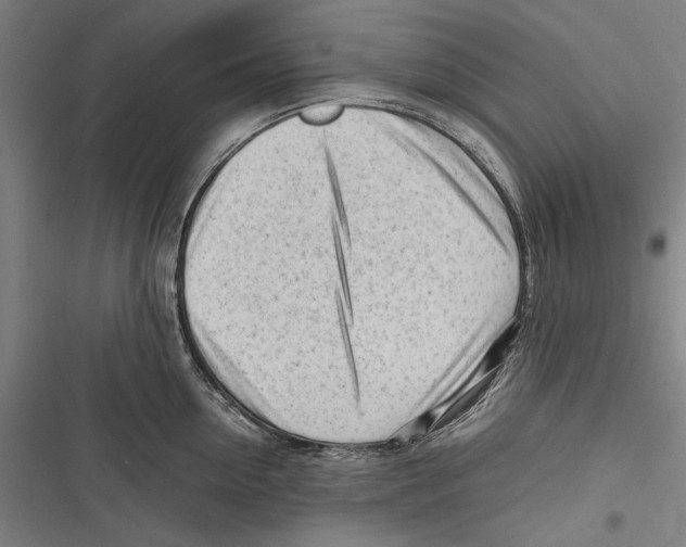 X0000116640954201001111205