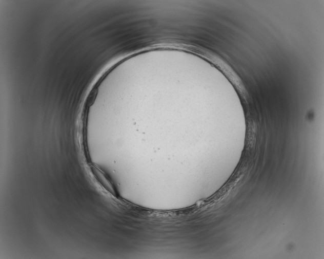 X0000116640955201001111205