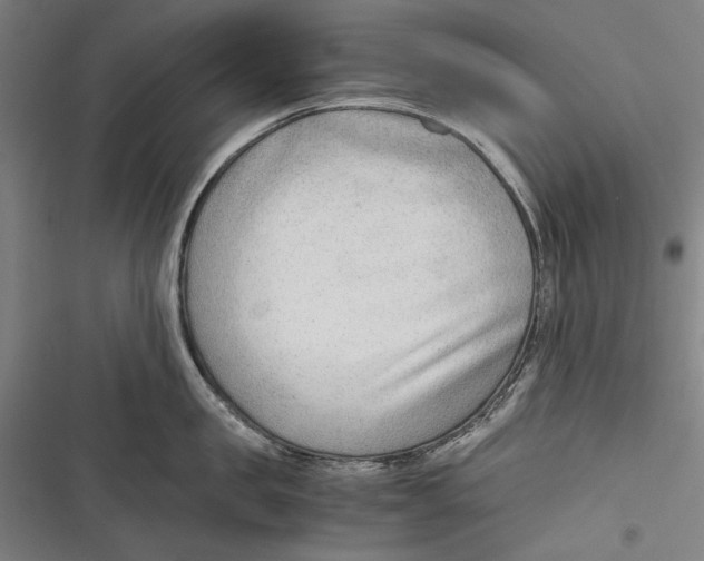 X0000116640957201001111205