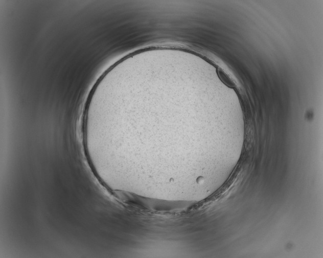 X0000116640959201001111205