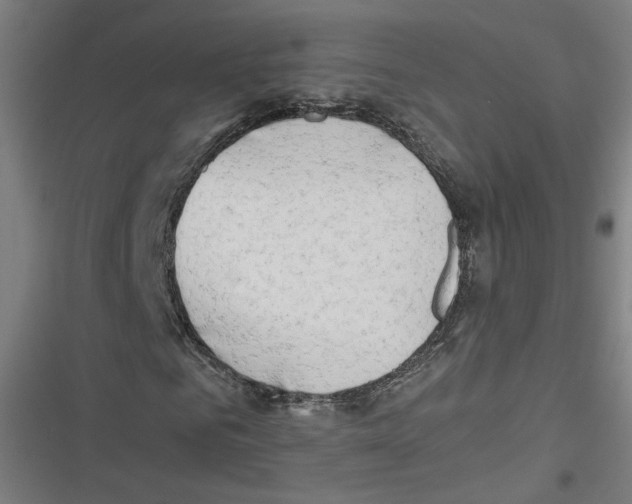 X0000116640961201001111205