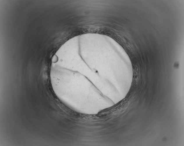 X0000116640962201001111205