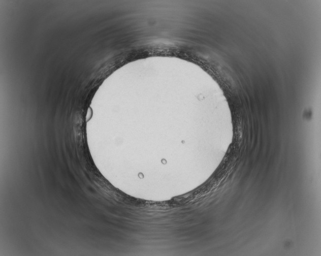 X0000116640964201001111205