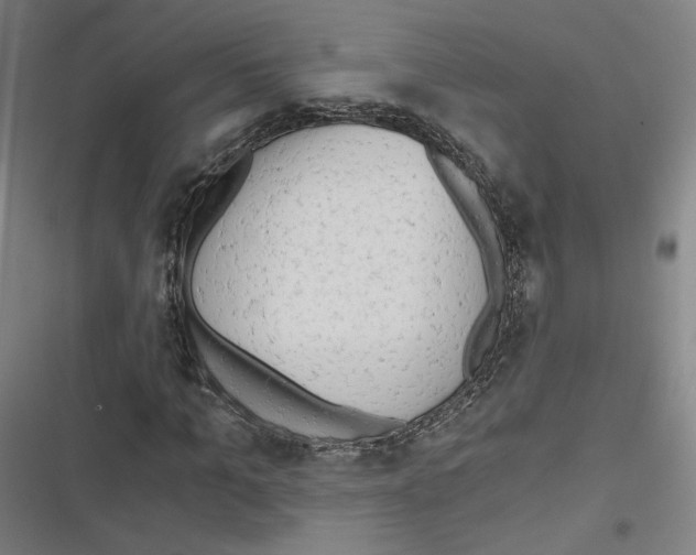 X0000116640965201001111205