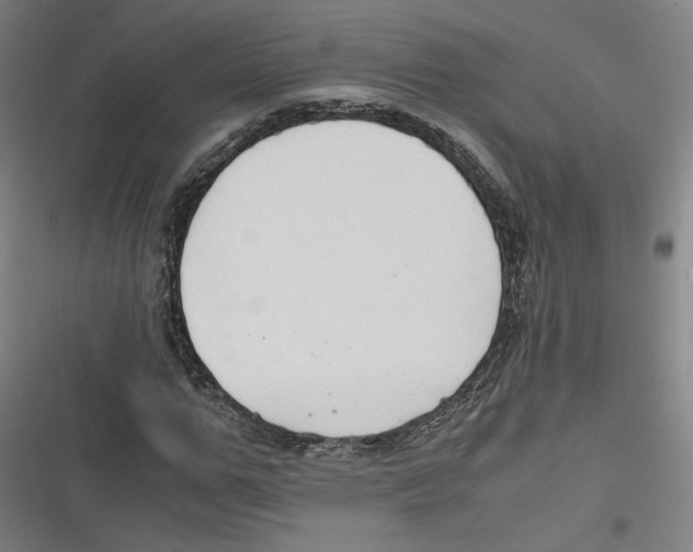 X0000116640967201001111205