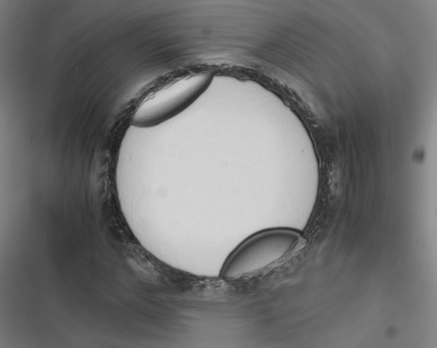 X0000116640968201001111205