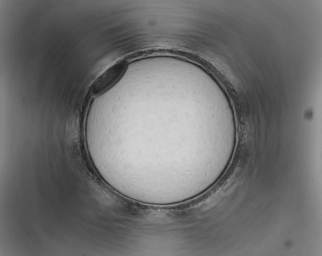 X0000116640969201001111205