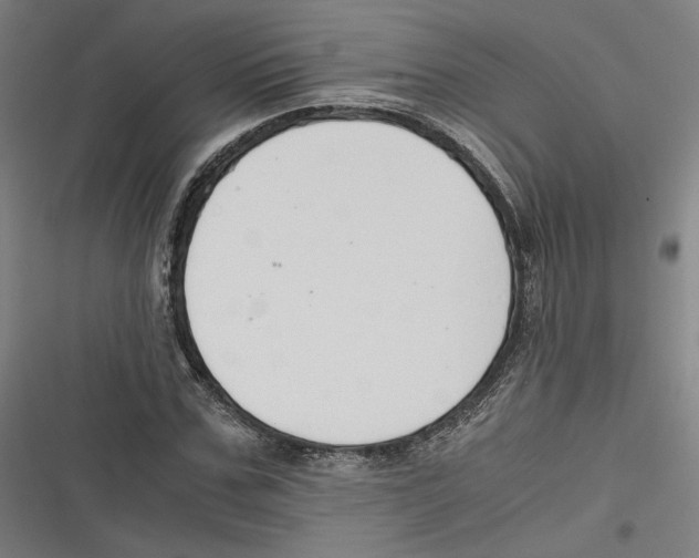 X0000116640971201001111204