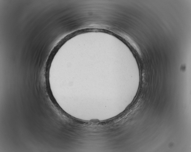 X0000116640972201001111204