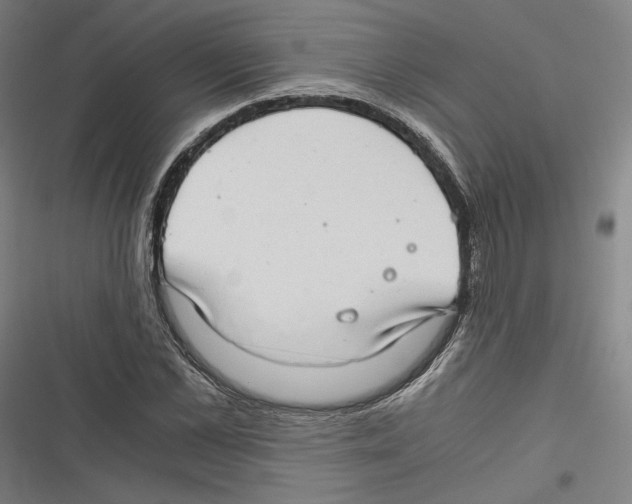 X0000116640973201001111204