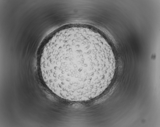 X0000116640974201001111204