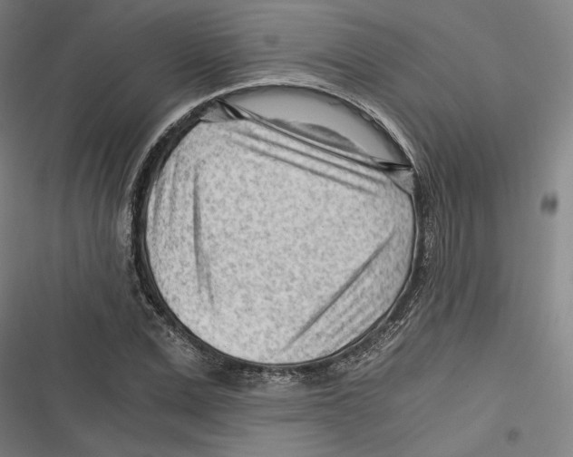 X0000116640975201001111204