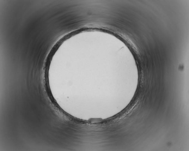 X0000116640976201001111204