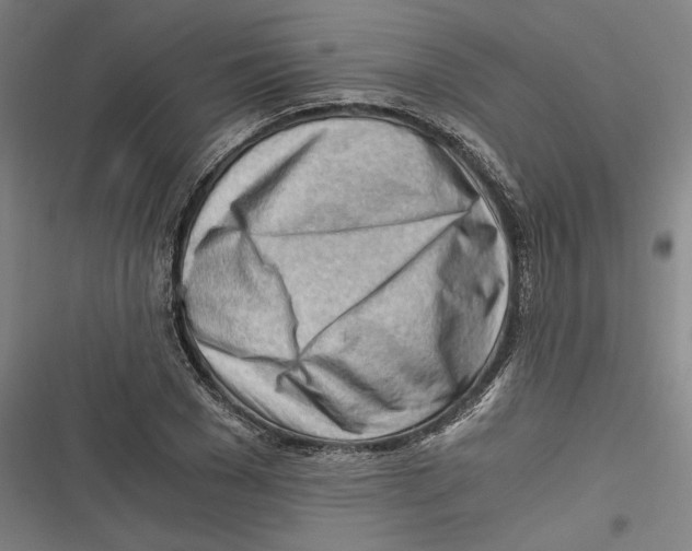 X0000116640977201001111204