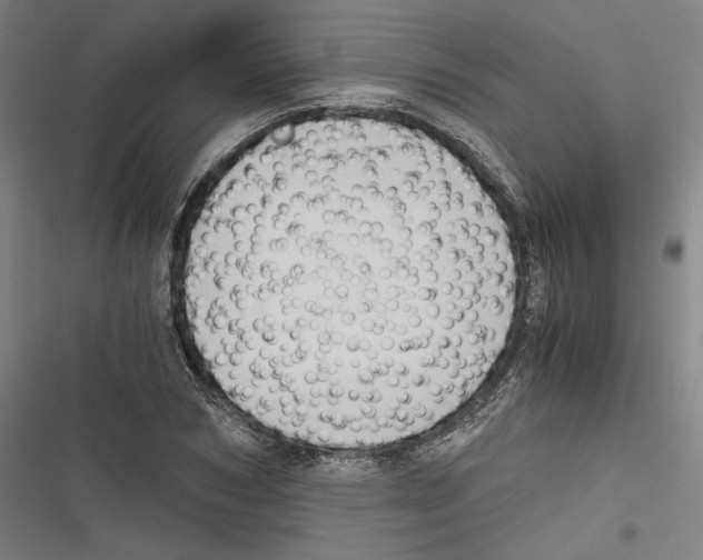 X0000116640978201001111204