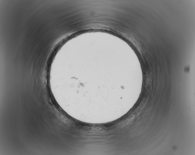 X0000116640979201001111204