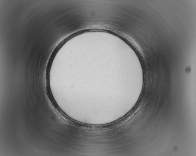 X0000116640980201001111204