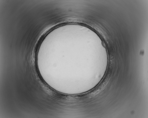 X0000116640981201001111204