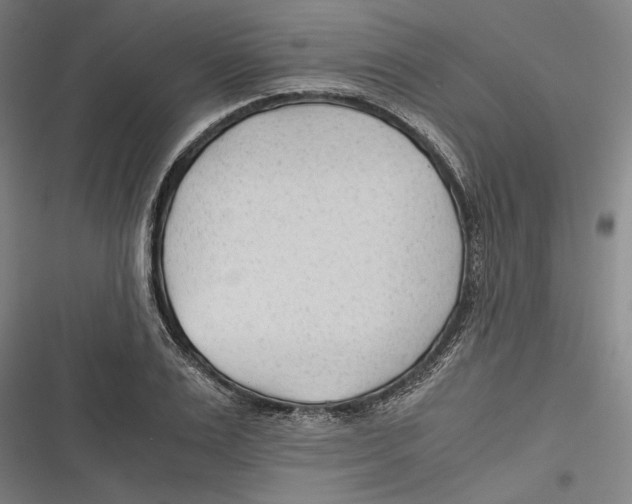 X0000116640983201001111204