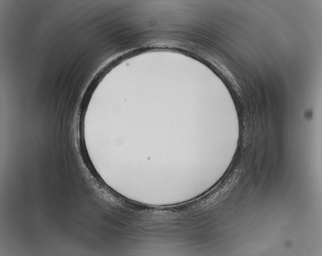 X0000116640984201001111204