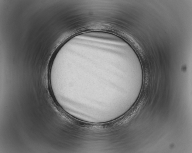 X0000116640986201001111204