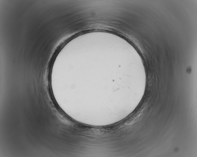 X0000116640987201001111204