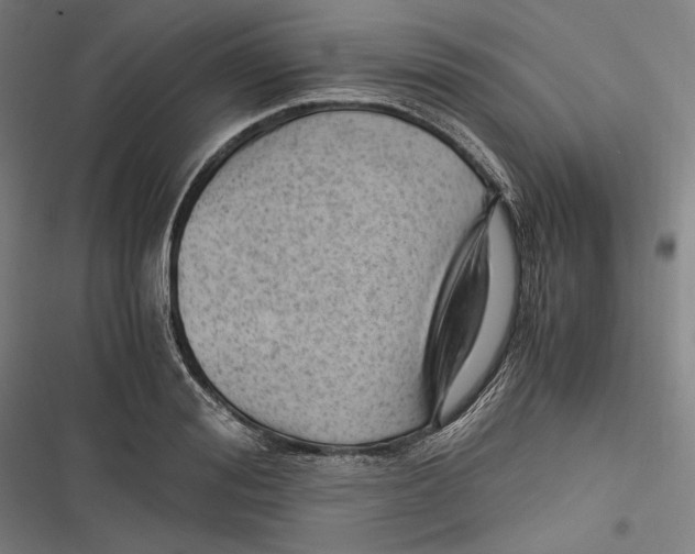 X0000116640988201001111204