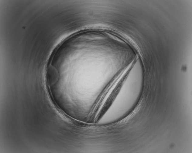 X0000116640989201001111204