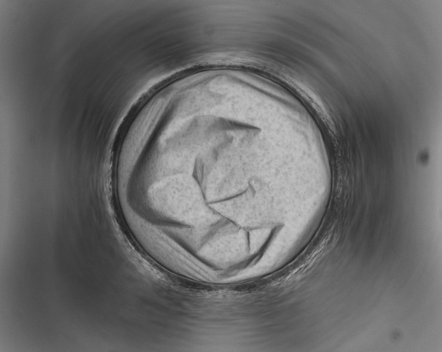 X0000116640992201001111204