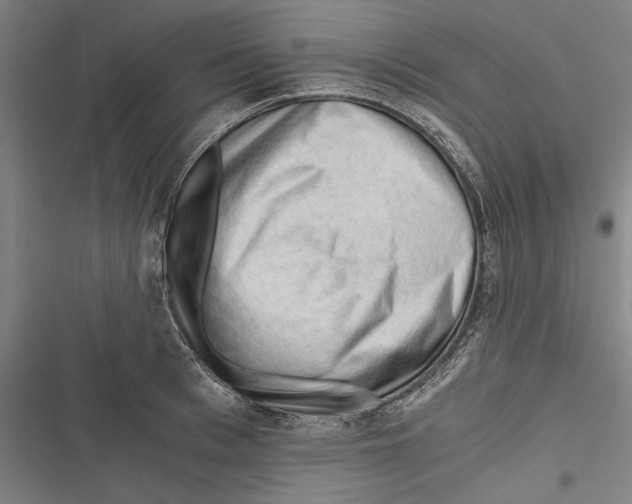 X0000116640993201001111204